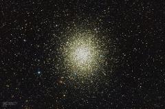 Stargazing Experience