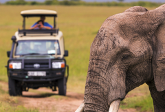 Hluhluwe-Umfolozi Game Reserve