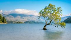Wānaka Day Tour