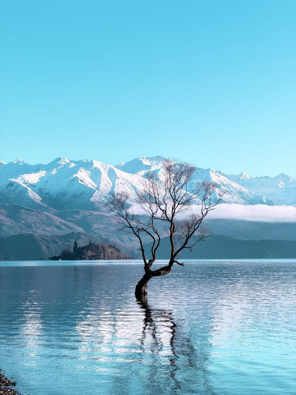 Wanaka Private Tour from Queenstown Scenic Drive and Lakeside