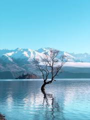Wanaka Private Tour from Queenstown Scenic Drive and Lakeside