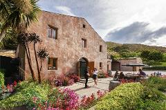 Private Panorama Wine Tour – Top 4 Wineries