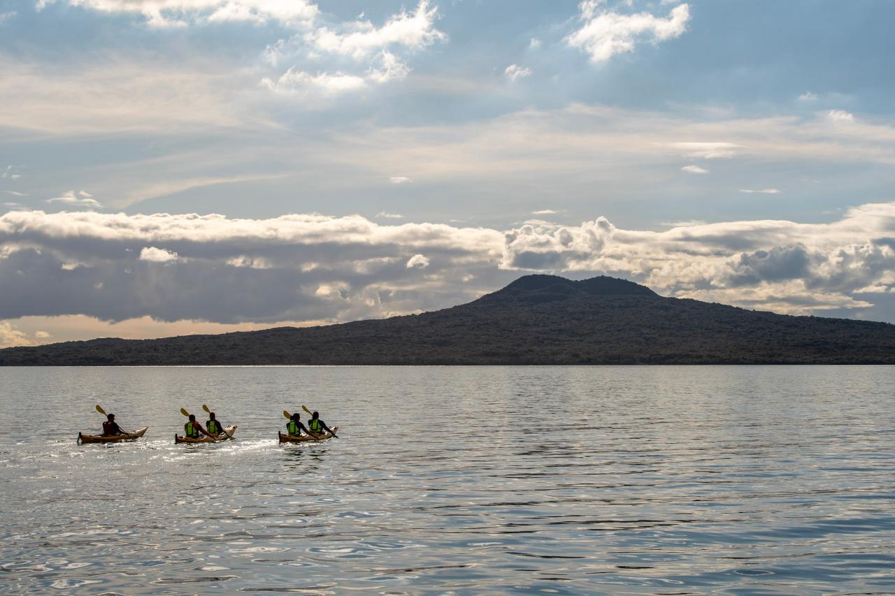 Day Sea Kayak tour to Rangitoto Island with BBQ Lunch