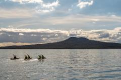 Day Sea Kayak tour to Rangitoto Island with BBQ Lunch