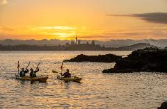 Sunset / Night Kayak to Rangitoto Island with BBQ Dinner