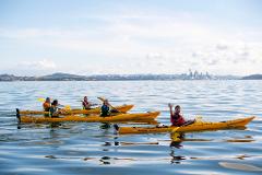 Day Sea Kayak tour to Rangitoto Island with BBQ Lunch