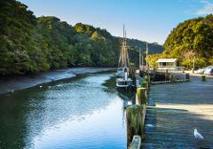 Warkworth by Kayak