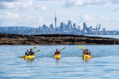 Motukorea / Browns Island Sea Kayak Journey 