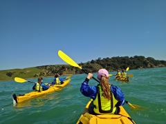 Ambury 4 day - The Duke of Edinburgh’s Hillary Award SILVER training, practice and qualifying