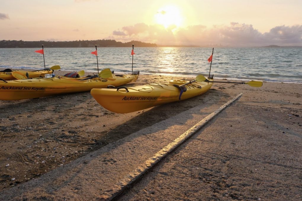 Motukorea / Browns Island Twilight Tour 