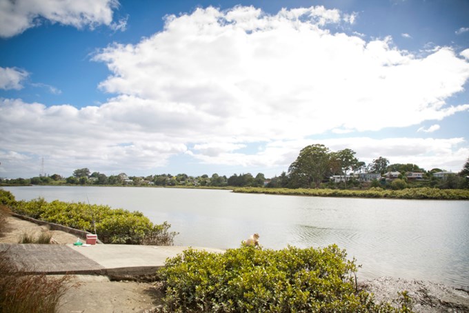 World Wetland Day kayak event | Whau River