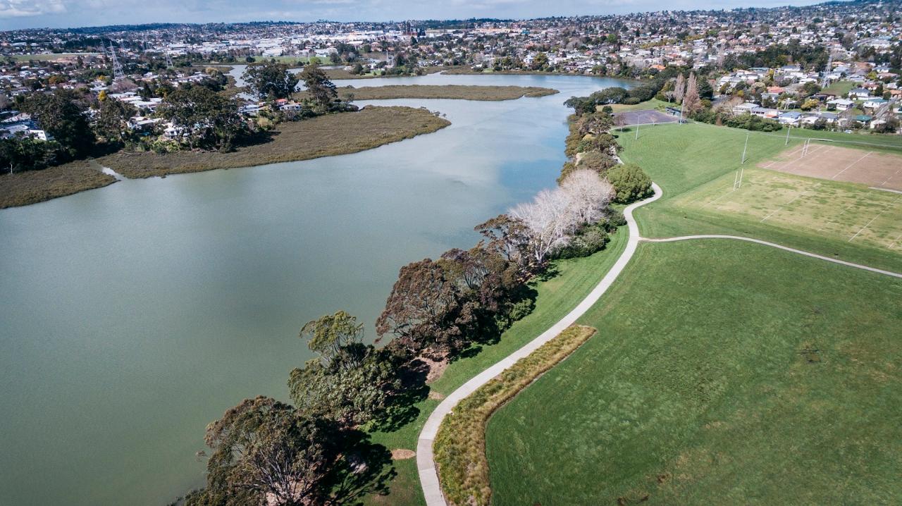 Whau River | Pollen island kayak rental - Auckland Sea Kayaks Reservations