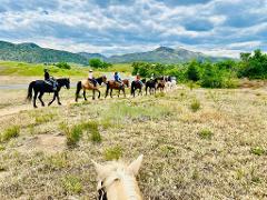 1.5 Hour Bear Lake Trail Ride
