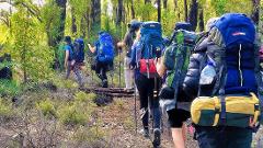 Walpole Giants Teen Hike