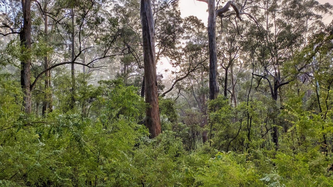 The Donnelly River Expedition