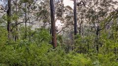 The Donnelly River Expedition