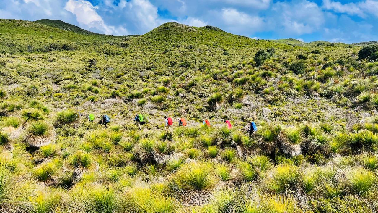 Forest Plains Coast Teen Expedition