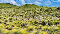 Forest Plains Coast Teen Expedition