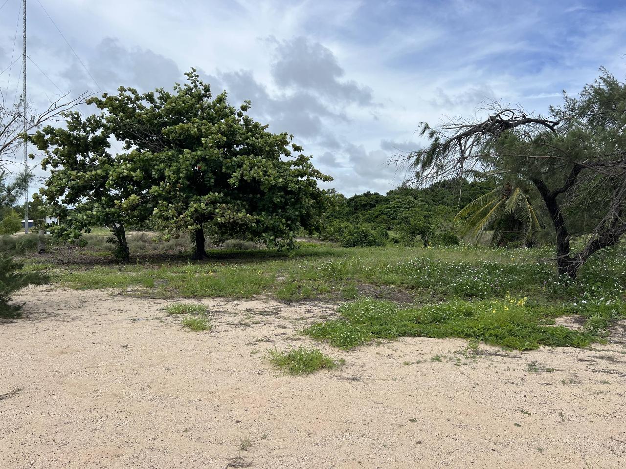 Campsite 1 - Walatha