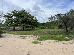 Campsite 1 - Walatha