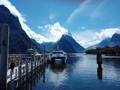 Milford Sound Tour