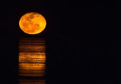 1/2 Day Best of Broome - Staircase to the Moon