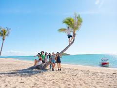 Shore Excursion / Cape Gloucester Escape