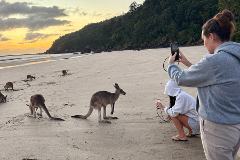 Shore Excursion / Eco Wildlife Two-Day Tour – Platypus & Kangaroos