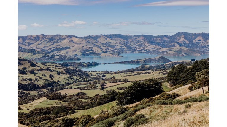 Akaroa Scenic Tour