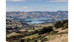 Akaroa Scenic Tour