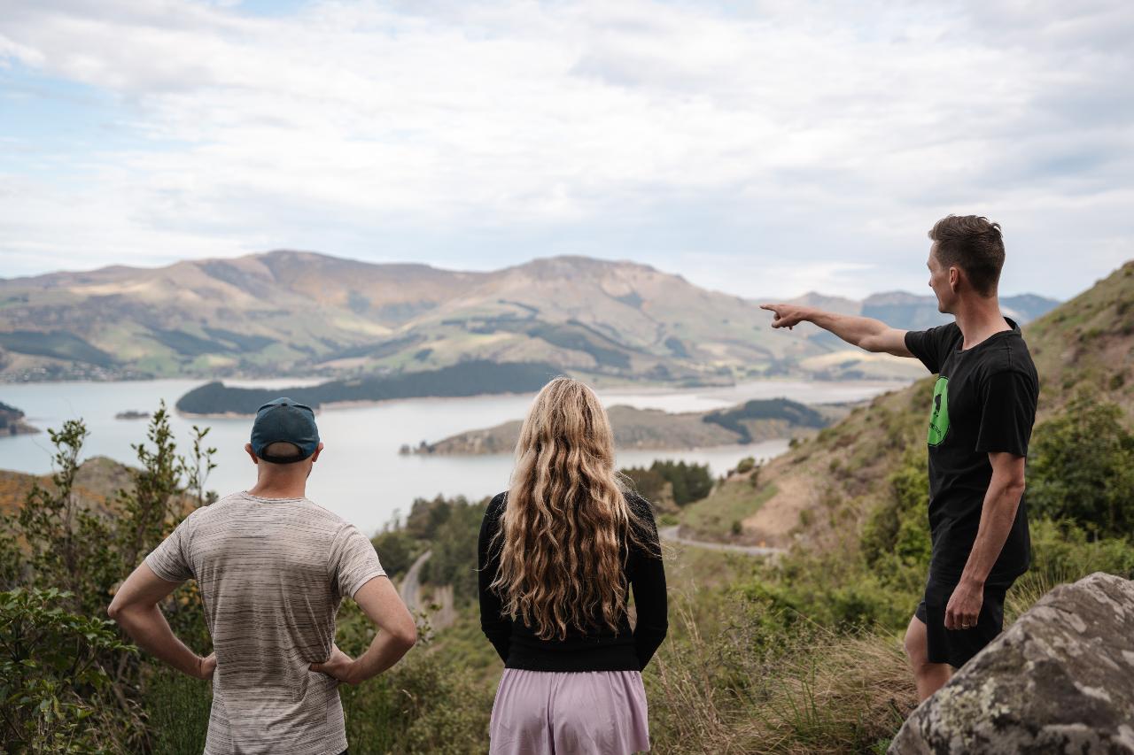 Private Banks Peninsula Explorer Tour