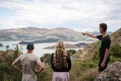 Private Banks Peninsula Explorer Tour 