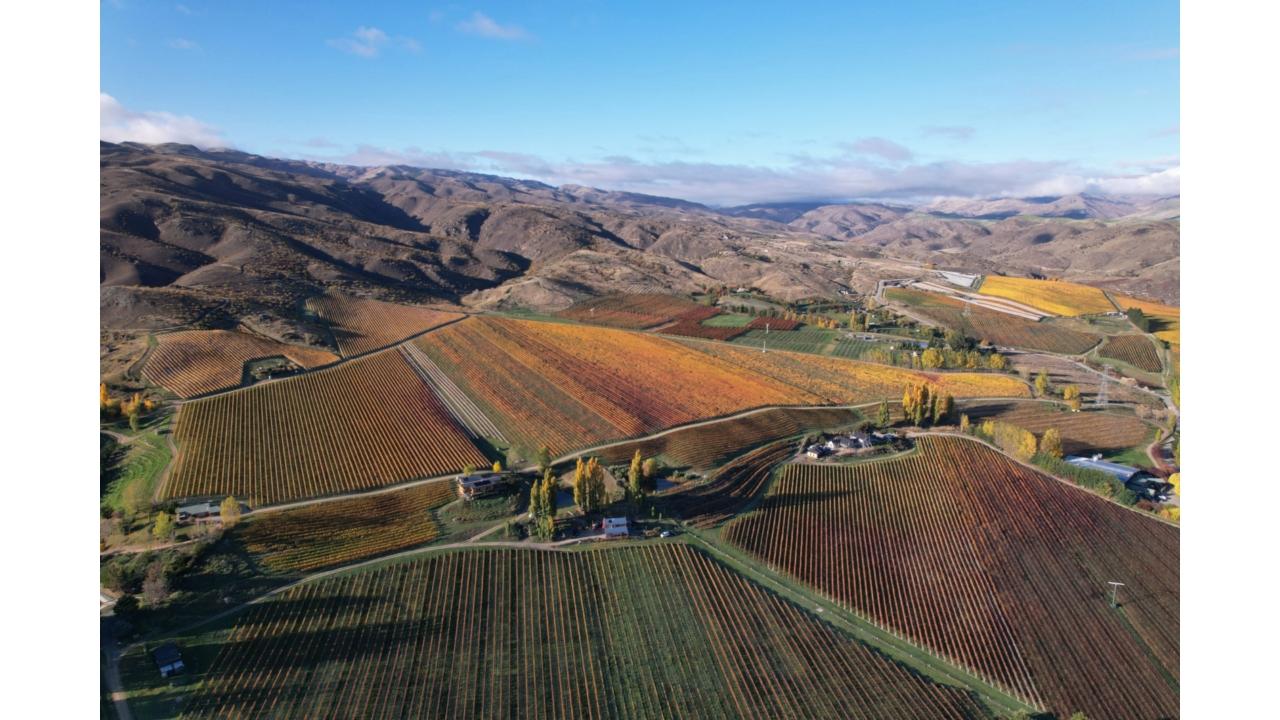 Latitude 45 Luxury Wine Tours: Private & Luxury Discovery Wine Tour of Central Otago with Gourmet Cheeseboard - Photo 12