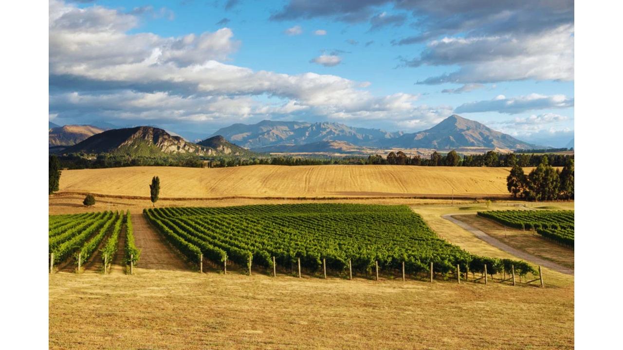 Latitude 45 Luxury Wine Tours: Private & Luxury Wanaka Wine and Sightseeing Tour — Central Otago - Photo 4