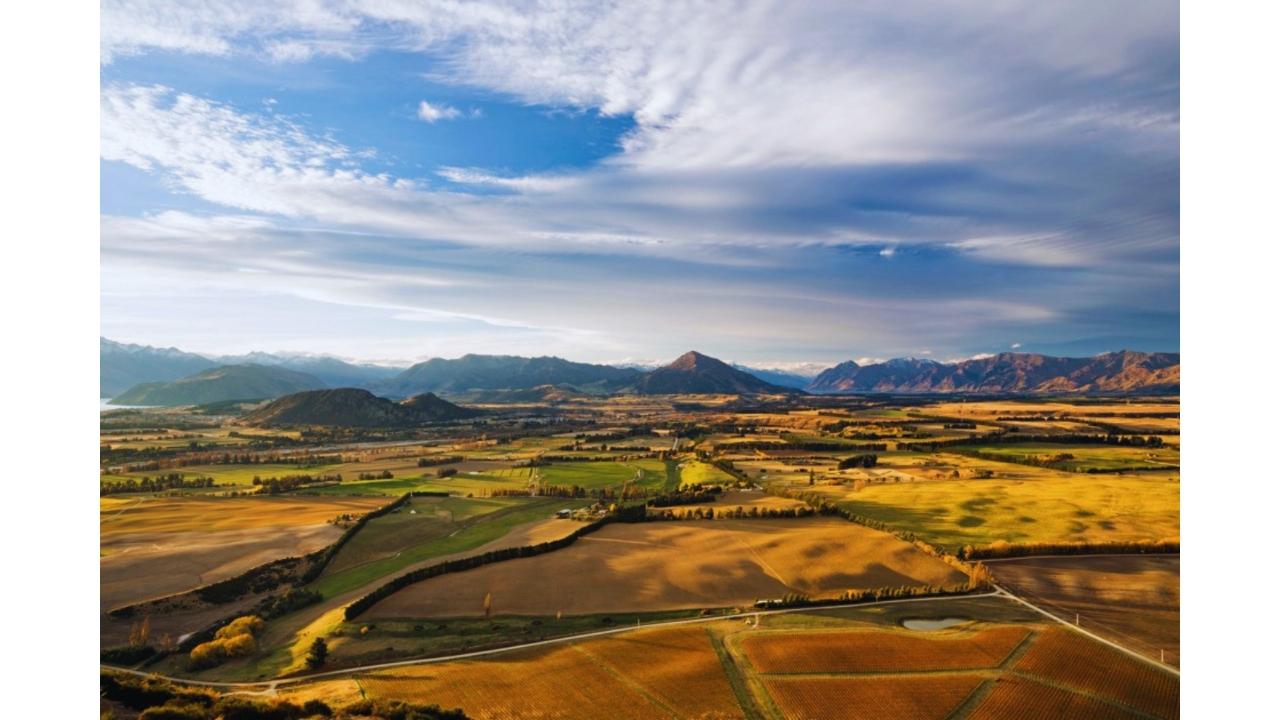 Latitude 45 Luxury Wine Tours: Private & Luxury Wanaka Wine and Sightseeing Tour — Central Otago - Photo 5