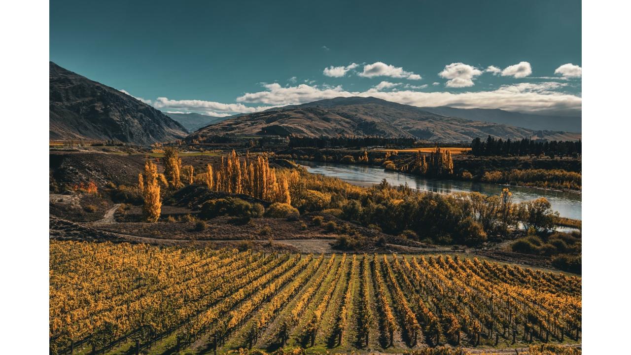 Latitude 45 Luxury Wine Tours: Private & Luxury Taste of Central Otago Wine Tour with Gourmet Lunch - Photo 13