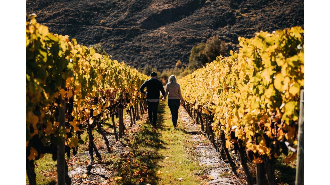 Latitude 45 Luxury Wine Tours: Private & Luxury Taste of Central Otago Wine Tour with Gourmet Lunch - Photo 3