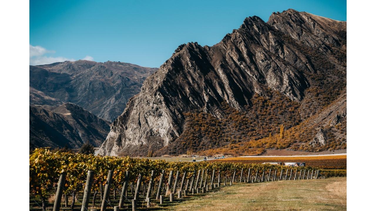 Latitude 45 Luxury Wine Tours: Private & Luxury Taste of Central Otago Wine Tour with Gourmet Lunch - Photo 4