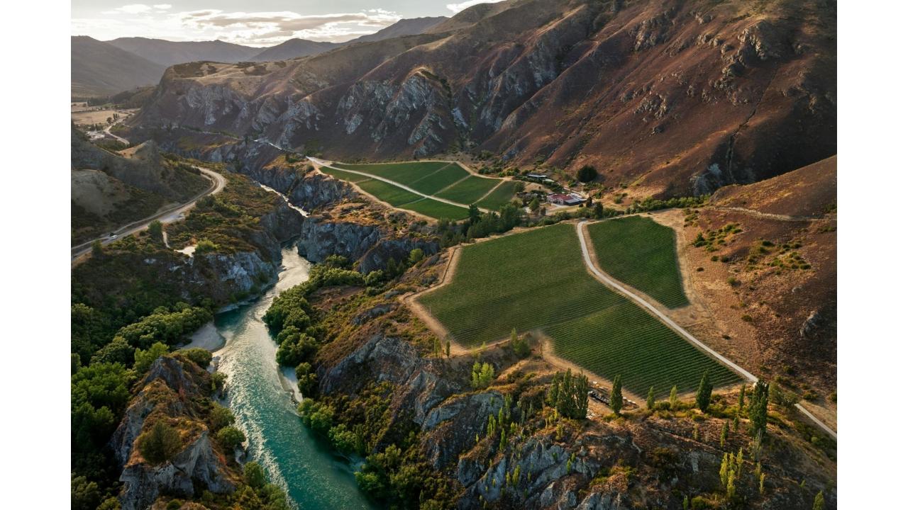 Latitude 45 Luxury Wine Tours: Private & Luxury Taste of Gibbston Wine Tour with Artisan Cheeseboard — Central Otago - Photo 9