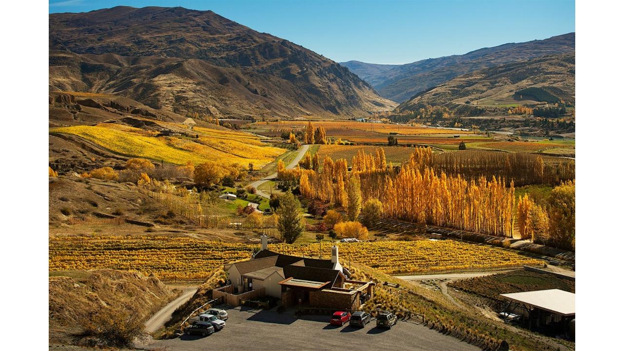 Latitude 45 Luxury Wine Tours: Private & Luxury Discovery Wine Tour of Central Otago with Gourmet Cheeseboard - Photo 6