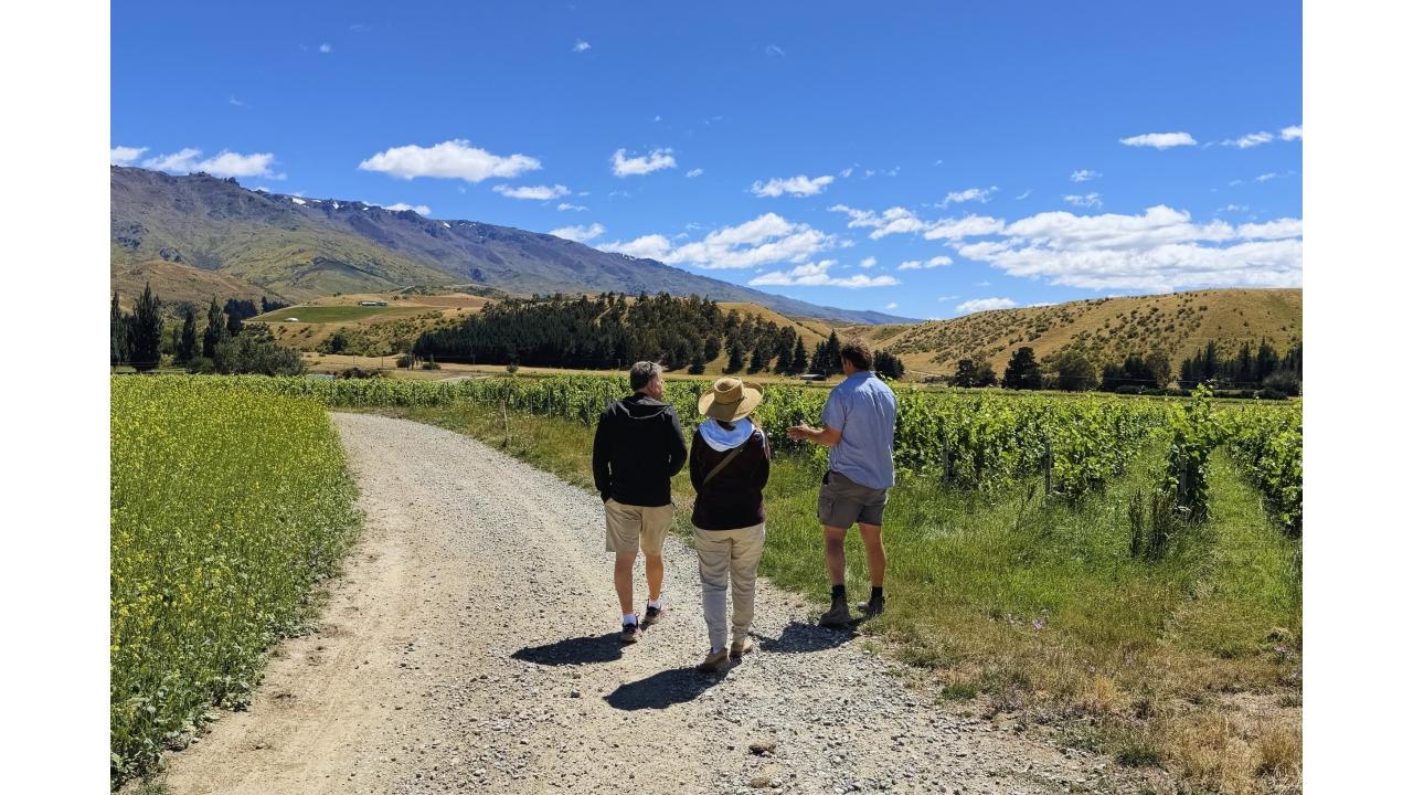 Latitude 45 Luxury Wine Tours: Private & Luxury Wanaka Wine and Sightseeing Tour — Central Otago - Photo 2