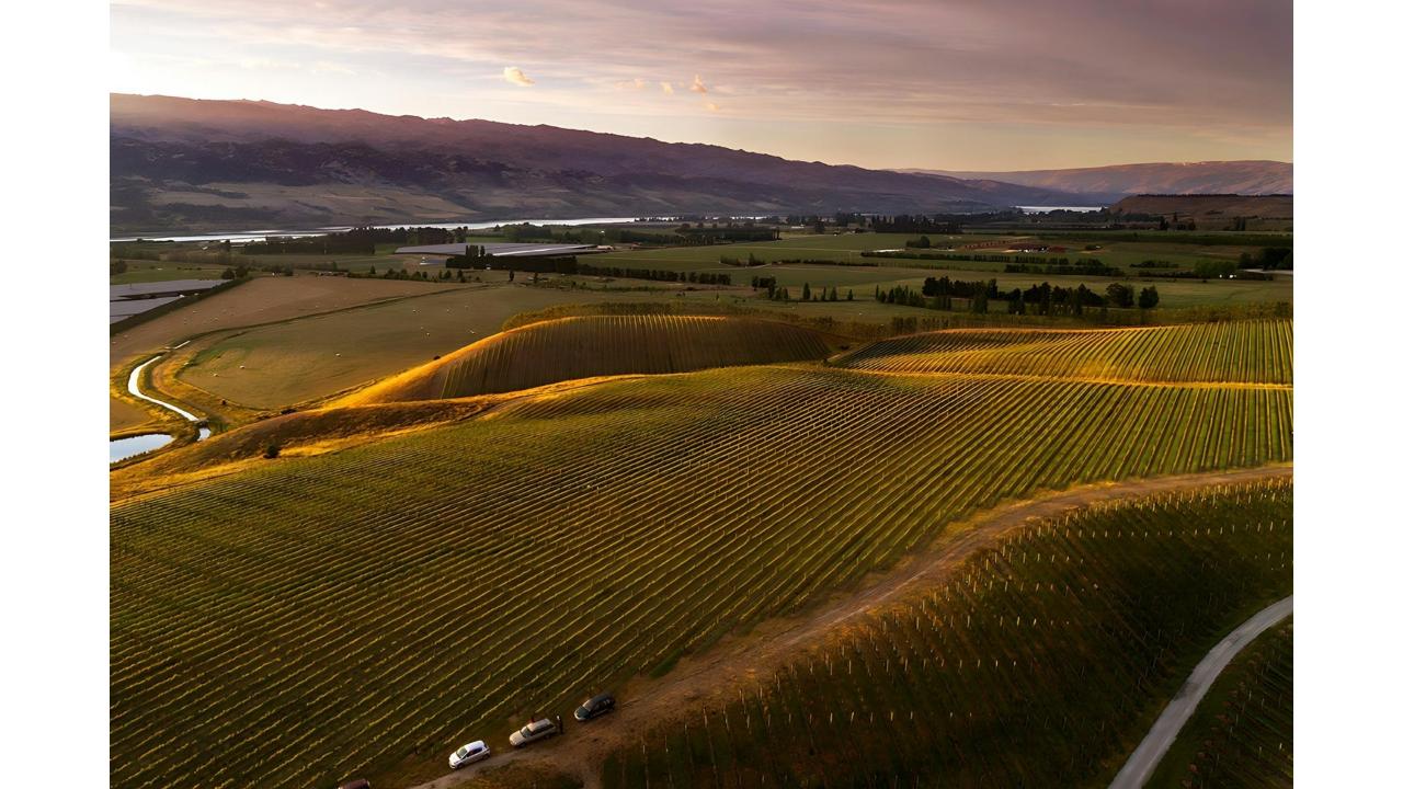 Latitude 45 Luxury Wine Tours: Private & Luxury Discovery Wine Tour of Central Otago with Gourmet Cheeseboard - Photo 11