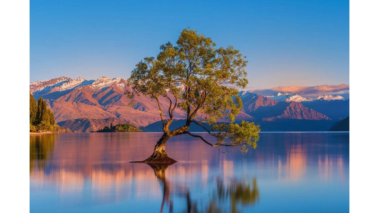 Latitude 45 Luxury Wine Tours: Private & Luxury Wanaka Wine and Sightseeing Tour — Central Otago