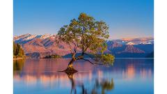 Private & Luxury Wanaka Wine and Sightseeing Tour