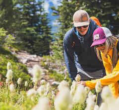 Wildflower Hike- Revelstoke Mountain Resort