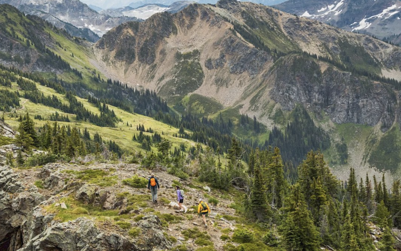 Private Tour of Revelstoke Mountain Resort