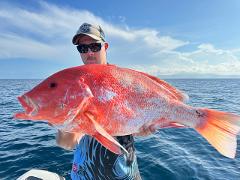 6 Hour Outer Reef Private Charter