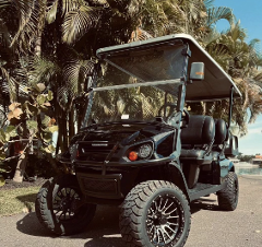 6 Passenger Golf Cart — Gas