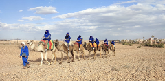 2-Hour Quad Biking + 30-Minute Camel Ride in Marrakech
