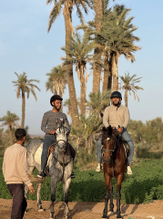 1-Hour Horse Riding Experience in Marrakech